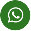Whatsapp icon